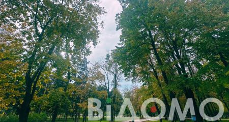 Сильний вітер та похолодання: якою буде погода у Дніпрі та області 27 жовтня