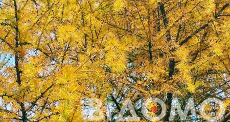 Хмарно та невеликий дощ, якою буде погода у Дніпрі та області 28 жовтня