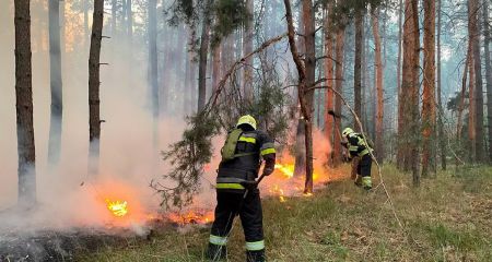 Масштабна пожежа на Дніпропетровщині: горіли 3 га лісу
