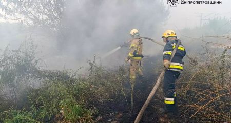 В Днепропетровской области за сутки возникло почти 50 пожаров в экосистемах