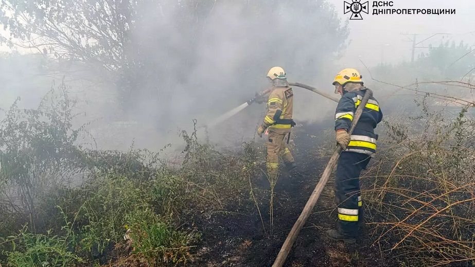 В Днепропетровской области за сутки возникло почти 50 пожаров в экосистемах