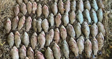 Виловив риби з Каховського водосховища на понад 100 тис грн: на Дніпропетровщині затримали браконьєра