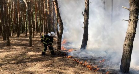 В Днепропетровской области выгорело более 72 га экосистем 21 июля