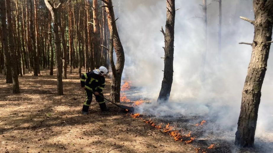 У Дніпропетровській області вигоріли понад 72 га екосистем 21 липня