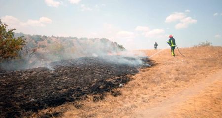 За сутки на Днепропетровщине пожарные потушили более 70 пожаров в экосистемах