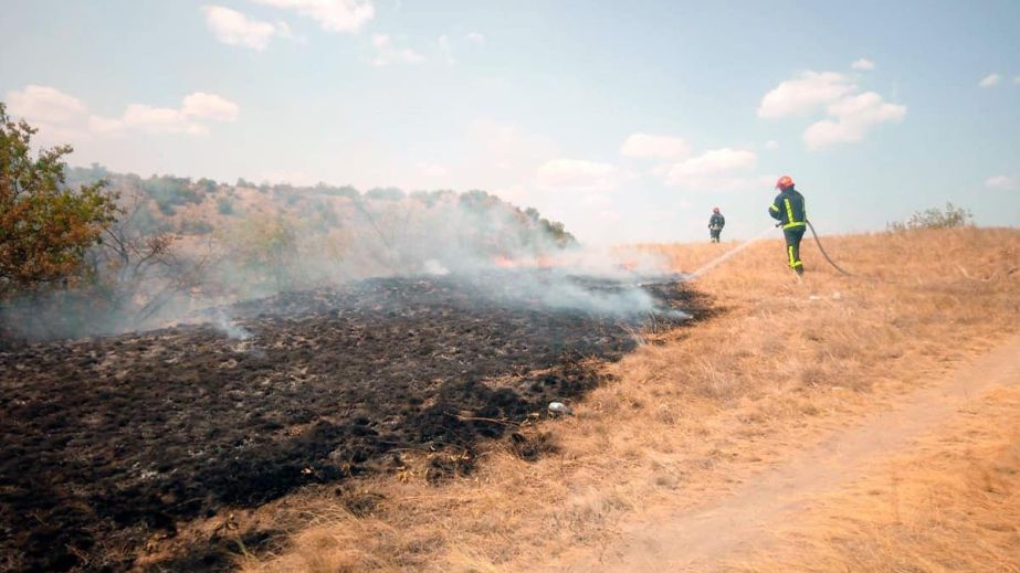 За сутки на Днепропетровщине пожарные потушили более 70 пожаров в экосистемах