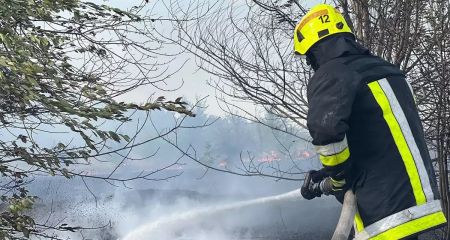 Экосистемы Днепропетровщины в течение суток пылали 77 раз