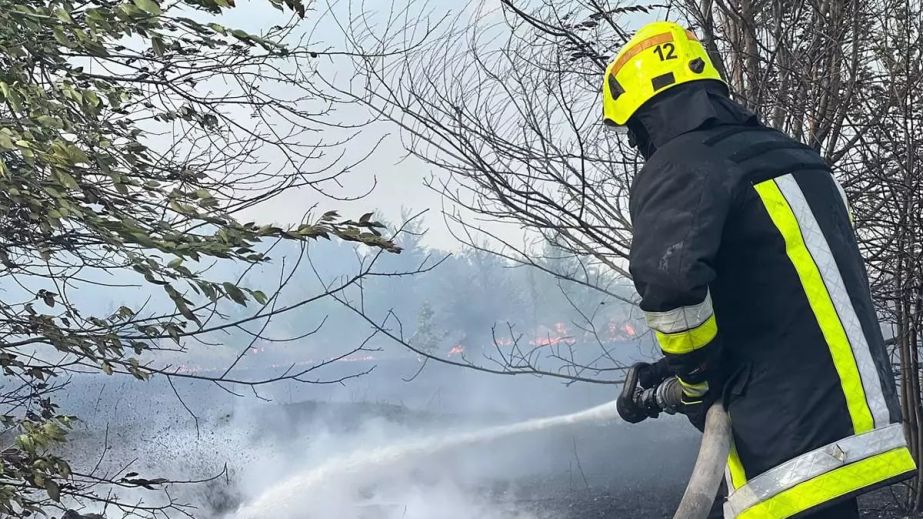 Екосистеми Дніпропетровщини протягом доби палали 77 разів