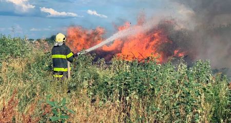 Надзвичайники Дніпропетровщини 6 серпня загасили 41 пожежу на відкритих територіях