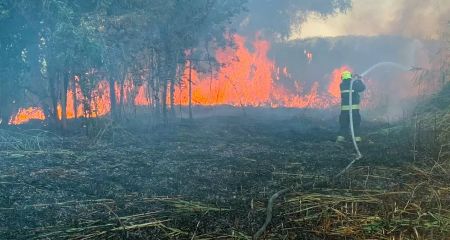 Мешканців Дніпропетровщини попереджають про небезпечні та стихійні метеорологічні явища