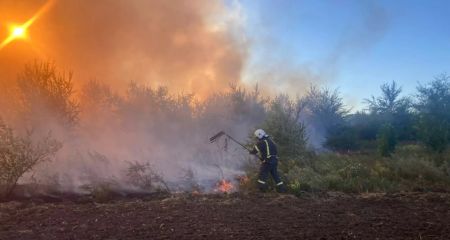 На Дніпропетровщині за добу вигоріло вщент понад 70 га екосистем