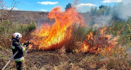 За добу на Дніпропетровщині вигоріло понад 60 гектарів екосистем