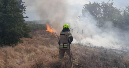 За добу на Дніпропетровщині вогонь знищив понад 54 гектари екосистем