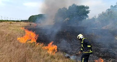 Рятувальники Дніпропетровщини 87 разів за добу гасили пожежі в екосистемах регіону