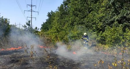 Пожежі в екосистемах не вщухають: за добу на Дніпропетровщині вигоріло понад 65 га землі