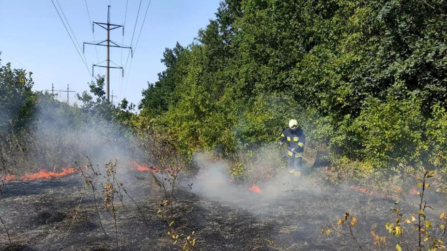 Пожежі в екосистемах не вщухають: за добу на Дніпропетровщині вигоріло понад 65 га землі