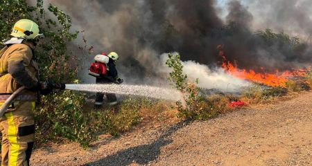 За добу на Дніпропетровщині вогонь знищив 65 гектарів екосистем