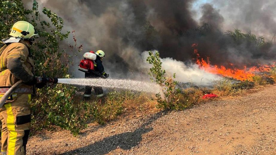 За добу на Дніпропетровщині вогонь знищив 65 гектарів екосистем