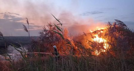 Екосистеми Дніпропетровського регіону палали 106 разів за добу