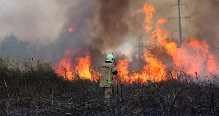 Спасатели Днепропетровщины 95 раз за сутки тушили леса, мусор и сухую растительность региона