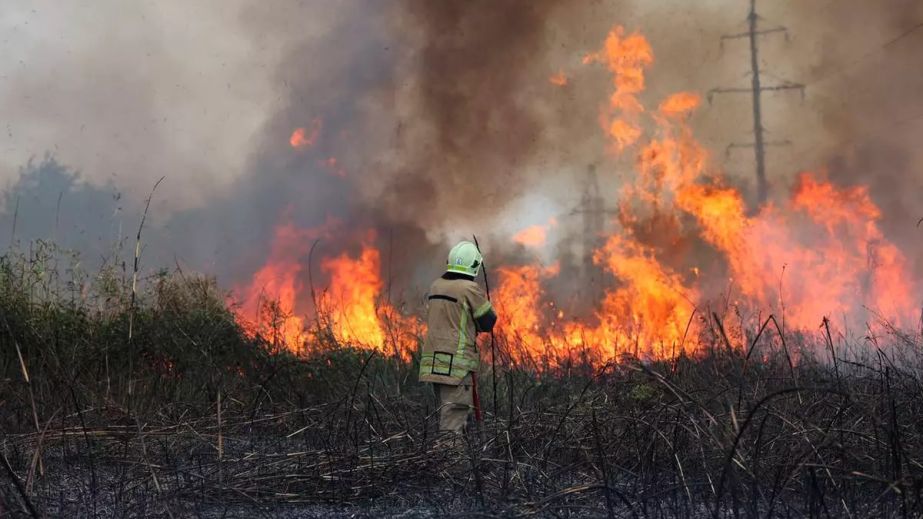 Рятувальники Дніпропетровщини 95 разів за добу гасили ліси, сміття та суху рослинність регіону