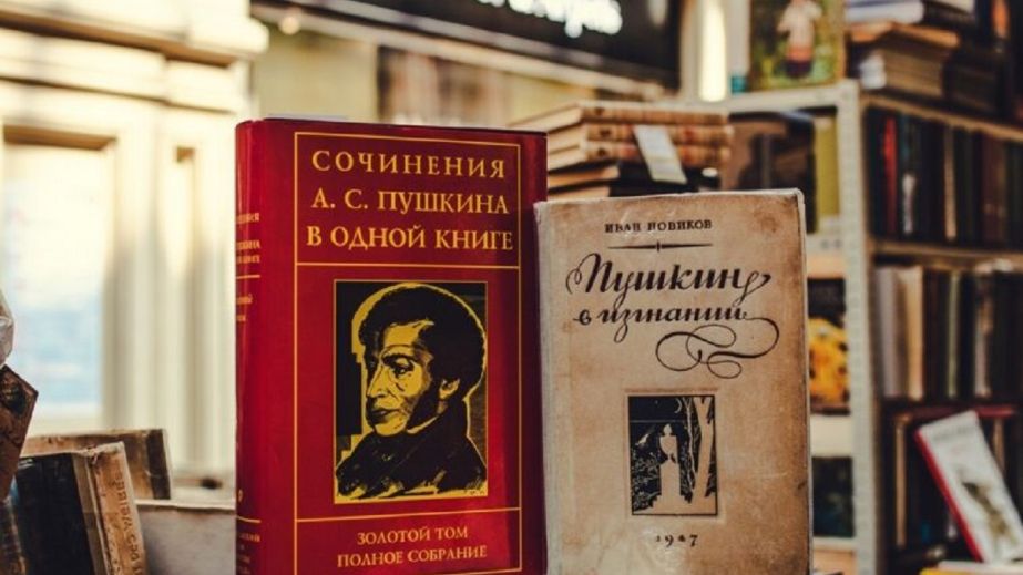 "Полторы тонны на дроны": в Кривом Роге собирают российские книги, чтобы купить FPV-дроны для ВСУ