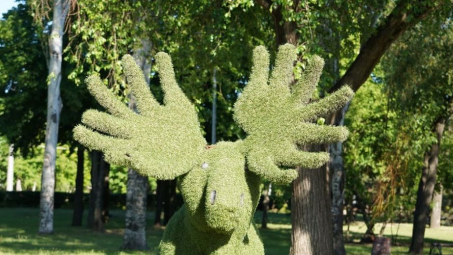 В Кривом Роге восстановят топиарные скульптуры в парке Героев за 55 тысяч гривен