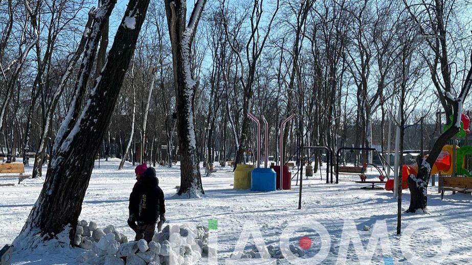 В Днепре дети строят в парке снежные крепости (ФОТО, ВИДЕО)