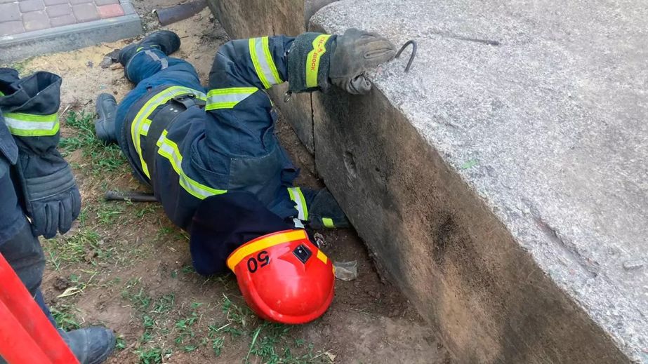 У Павлоградському районі врятували цуценя з-під залізобетонної плити