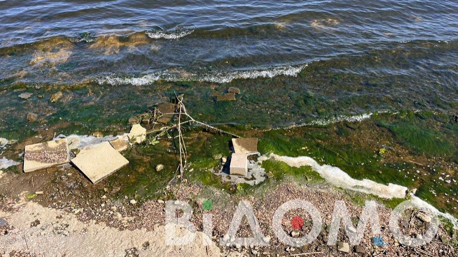 Від пляшок до сміття: що плаває у Дніпрі уздовж набережної (ФОТО, ВІДЕО)