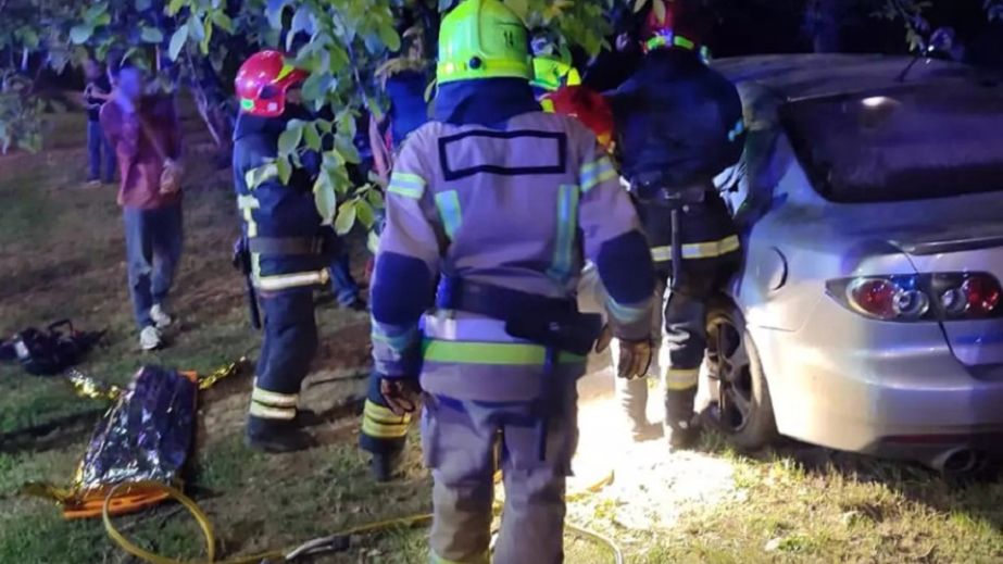 У Кривому Розі автомобіль з родиною влетів у дерево: постраждала дитина (ФОТО)