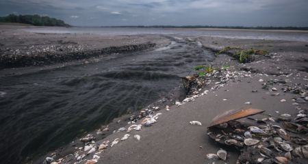 Блогер з Нікополя показав, як виглядає дно Каховського водосховища (ВІДЕО)