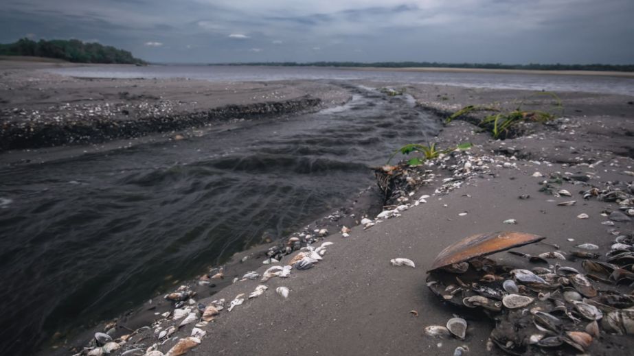 Блогер з Нікополя показав, як виглядає дно Каховського водосховища (ВІДЕО)
