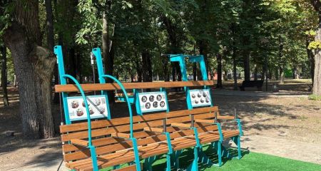 Первая в Украине: в одном из парков Днепра установили уникальную лавку-тренажер (ФОТО)