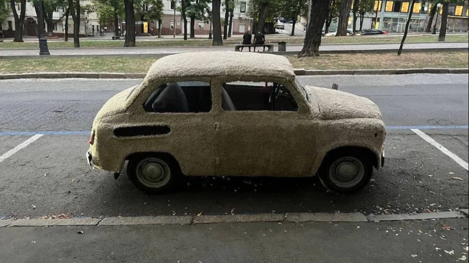 У хутряної автівки у центрі Дніпра з'явився "орган слуху" (ФОТО)