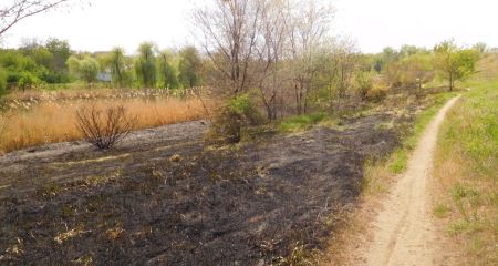 У Кривому Розі вигорів берег Інгульця (ФОТО)