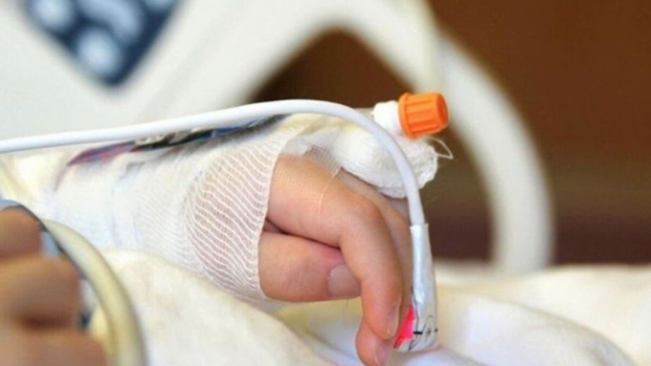 В больнице Днепра спасают мужчину, который выпасал скот и чуть не погиб в Донецкой области (ВИДЕО)