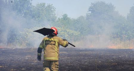 Горели улицы и деревья: в Подгородном ребенок устроил масштабный пожар (ВИДЕО)