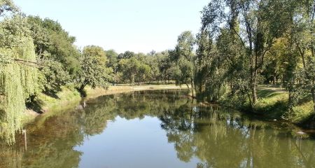 Чиновника з Кривого Рогу підозрюють у забрудненні річки Саксагань