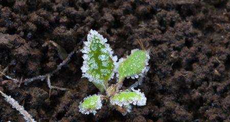 Для Дніпропетровщини критичним будуть 8 та 9 квітня: ДСНС попереджає про погіршення погодних умов