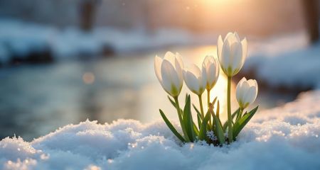 Тепло и ветрено: какой будет погода в Днепре и области 5 марта