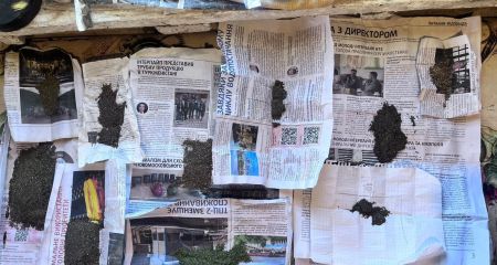 В Никополе мужчина о...