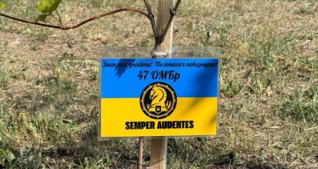 У Кривому Розі висадили "Алею Надії" на честь військових, які зникли безвісти та перебувають у полоні (ФОТО)