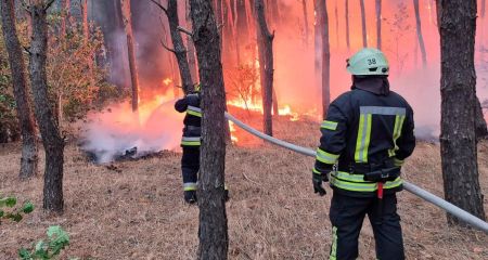 За добу вогонь знищив 175 гектарів природних екосистем на Дніпропетровщині