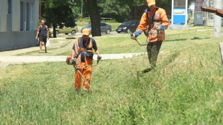 У Дніпрі планують витратити сотні тисяч гривень на боротьбу з травою