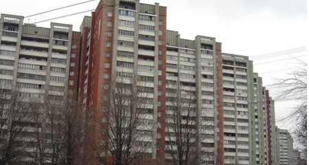 У Дніпрі, в одному зі спальних районів, з'явилося дерево для обіймів (ФОТО)