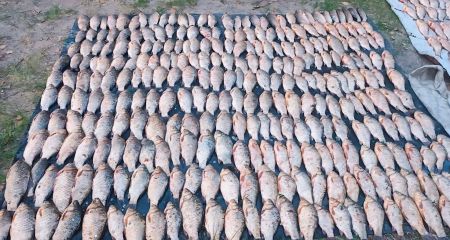 На Дніпропетровщині затримали браконьєрів із рибою майже на 700 тисяч гривень (ФОТО)