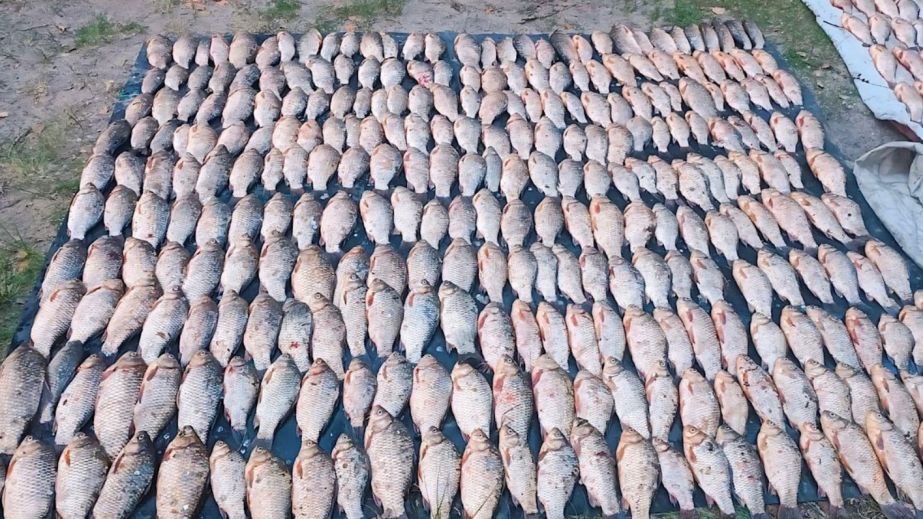 На Дніпропетровщині затримали браконьєрів із рибою майже на 700 тисяч гривень (ФОТО)