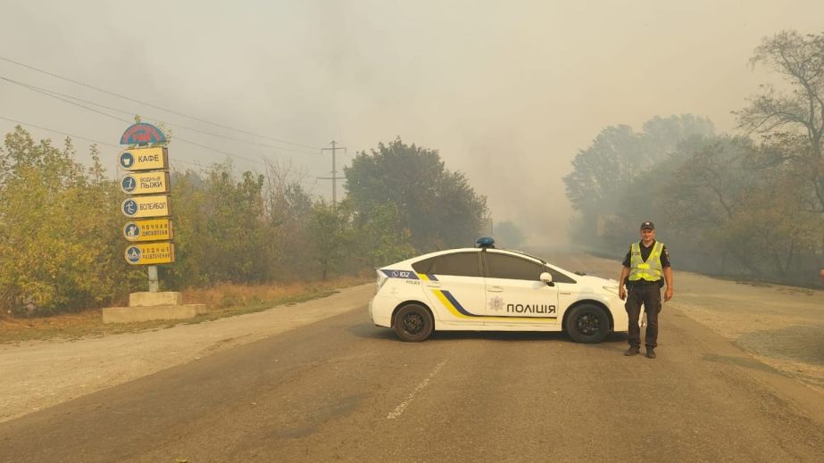 Через лісову пожежу на Дніпропетровщині перекрили дорогу поблизу села Єлизаветівка