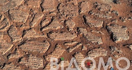 Удивительная находка: в центре Днепра ремонтники под асфальтом обнаружили старинную брусчатку (ФОТО)